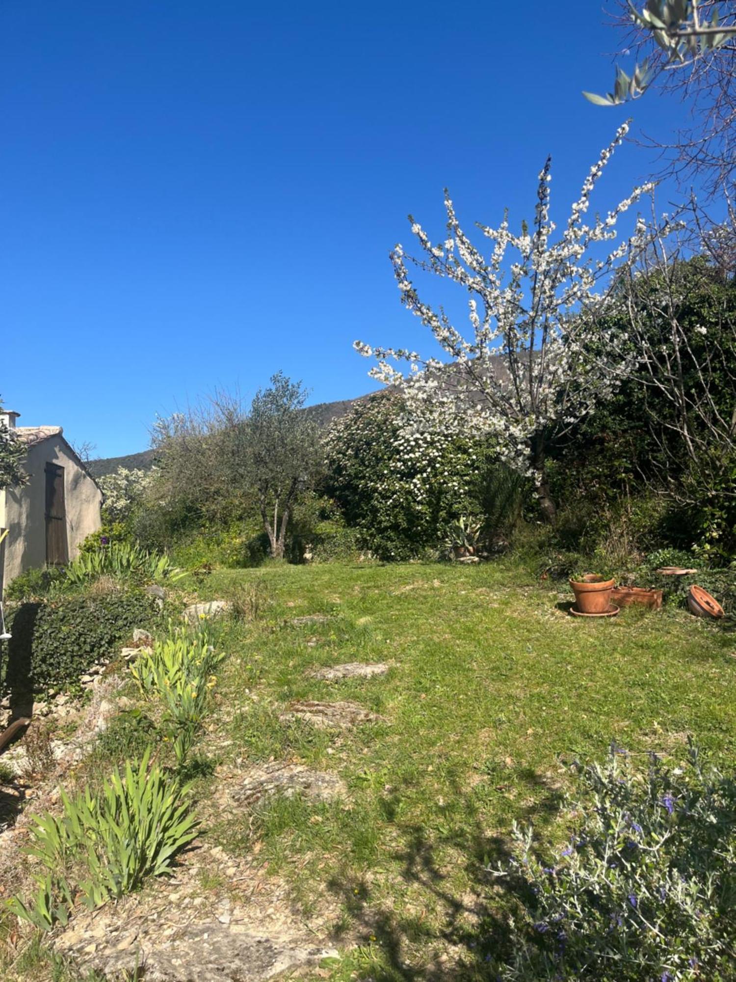 Cabanon Entoure De Montagnes Et D'Oliviers Βίλα Nyons Εξωτερικό φωτογραφία