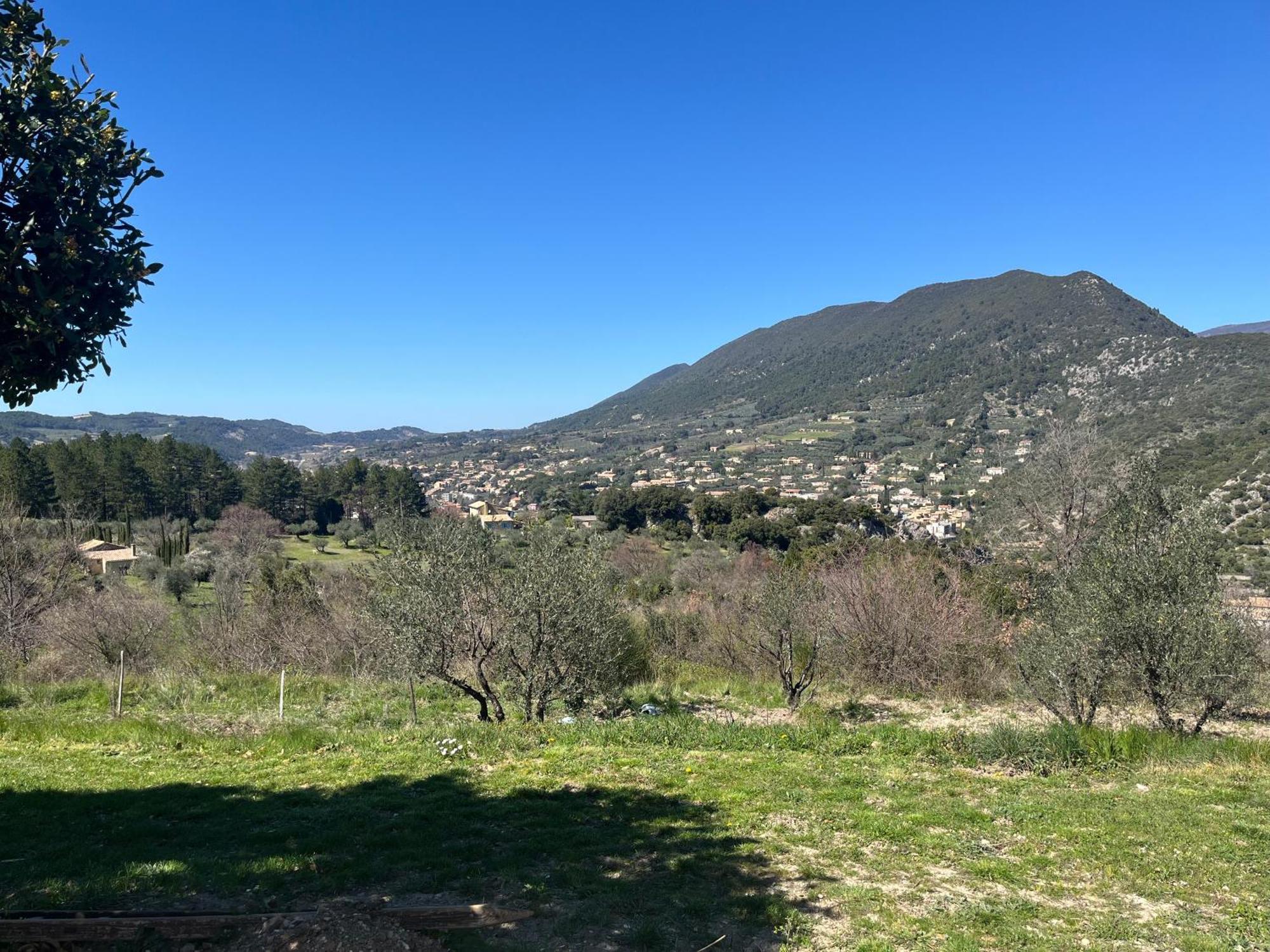 Cabanon Entoure De Montagnes Et D'Oliviers Βίλα Nyons Εξωτερικό φωτογραφία